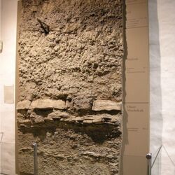 Foto eines Bodenprofils aus Löss, ausgestellt im Museum