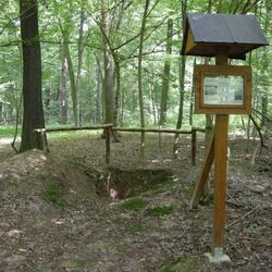 Foto der Profilgrube mit Infotafel