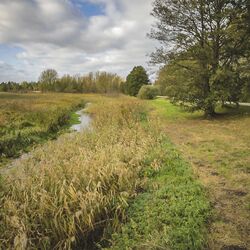 Foto: Die Alte Nebel nach Fertigstellung der Renaturierungsmaßnahmen. Das Gewässer verläuft geschwungen durch die neu gestaltete Landschaft.