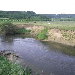 Foto: Ein Fluss mit starker Eintiefung. Im Hintergrund sind landwirtschaftlich genutzte Flächen zu sehen, die bis an den Gewässerrand reichen.