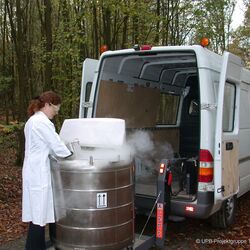 Tree sampling in the forest