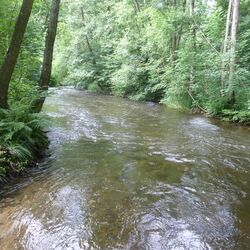 Foto des Flusses Ruwer