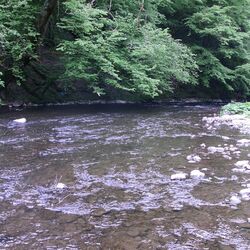 Foto des Flusses Lieser