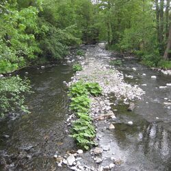 Foto des Flusses Nister