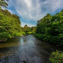 Foto des Flusses Wupper