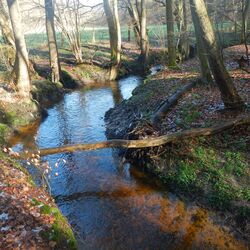 Foto des Flusses Schönebecker Aue
