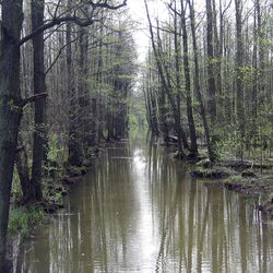 Kanal im Spreewald
