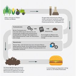 Typischer Herstellungsprozess pflanzenbasierter Fleischalternativen