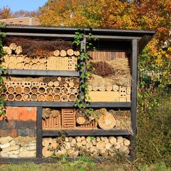 Insektenhotel
