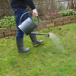 Person gießt Rasenfläche mit Gießkanne.
