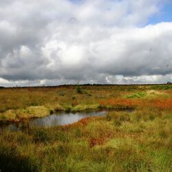 Blick auf Mützenicher Venn