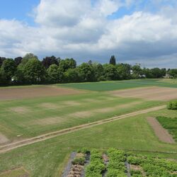 Dauerversuch Bodennutzung