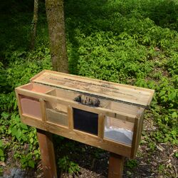 Kiste mit 4 Behälter, Inhalt sind verschiedene Erden, mit denen man Farbe herstellen kann