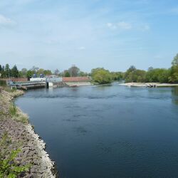 Auf dem Bild ist die Uferbefestigung im Rückstau an der Mulde dargestellt