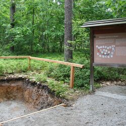Blick in den Reichswald