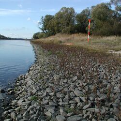 Auf dem Bild wird die Deckwerk an der Elbe dargestellt