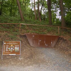 Auf dem Höhenweg in den Witthausbusch, Sicht auf eine Hangflanke mit Bodenanschnitt