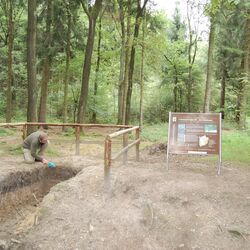 begehbares Bodenprofil Waldboden