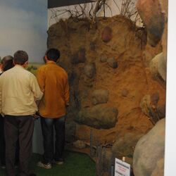 Nachbildung einer Endmoräne