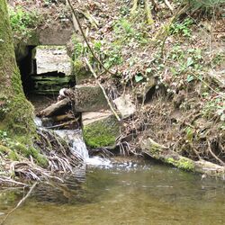 Naturpark "Schwäbisch-Fränkischer Wald"