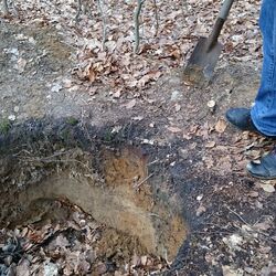 Begehbares Bodenprofil im Wohldorfer Wald
