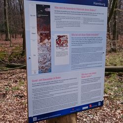 Foto einer Infotafel des Lehrpfades Wohldorfer Wald