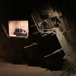 Dauerausstellung "TERRA.vita", Schädel eines Dinosauriers