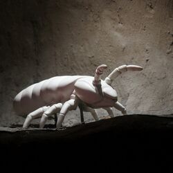  Dauerausstellung "unter.Welten"