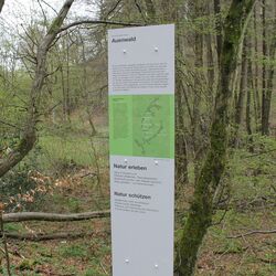 Informationstafeln im NSG Gelpe