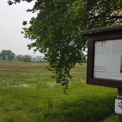 Infotafel "Niedermoor"