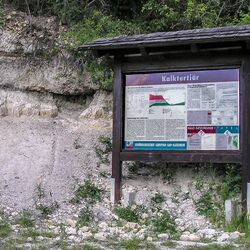 Tafel Kalktertiär: Pararendzina über fossilhaltigen Mergelschichten