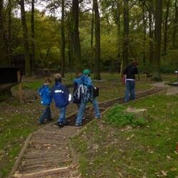 KITZ.do-Forscherstation Bodenfühlpfad