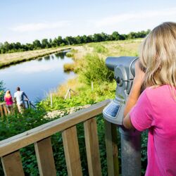 Blick auf den MoorInfoPfad Esterwegen