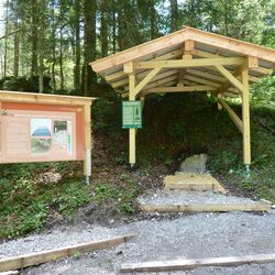 Station mit Felshumusboden (Boden des Jahres 2018)