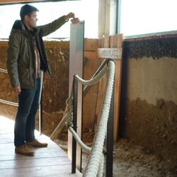 m Bodenpavillon sind landschaftstypische Böden zu sehen.