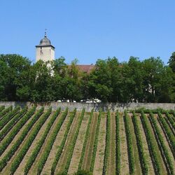 Die Landschaft an der Station Hallburg