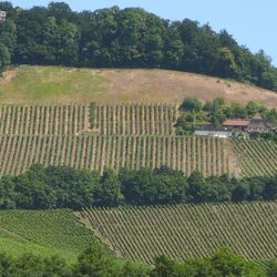 Die Landschaft an der Station Handthal