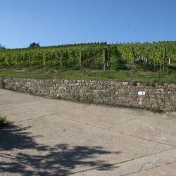 Weg zur Bodenstation