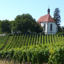 Die Landschaft an der Station Vogelsburg