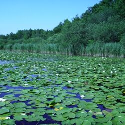 Der See "Große Heilige Meer"