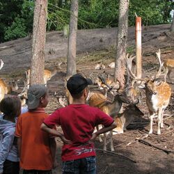 Begehbares Wildfreigehege