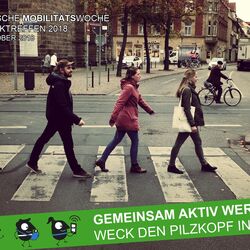 Teilnehmende stehen nach einander auf einem Zebrastreifen