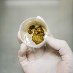 Frische Kotprobe in einem Plastikbecher