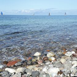 Steinstrand mit Blick auf Segelboote.