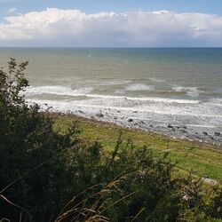 Blick auf See, mit Gräsern bewachsener Strand.