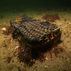 Korrodierendes Munitionspaket auf dem Meeresboden.