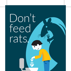 Don't feed rats