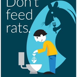 Don't feed rats