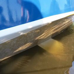 Bremen-Hasenbüren, Schwertzugvogel Hanseatenstern 2015, Biofilm am 11.06.2015