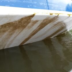 Bremen-Hasenbüren, Hanseatenstern 2015, Abgereinigter Biofilm nach der Reinigung am 18.06.2015